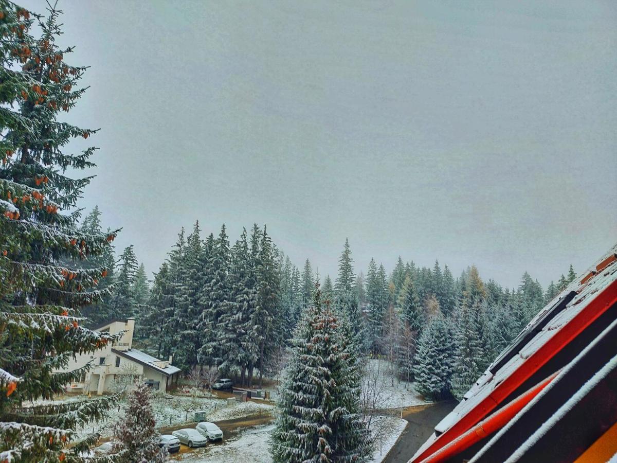 Vila Simonte Poiana Brasov Hotel Luaran gambar