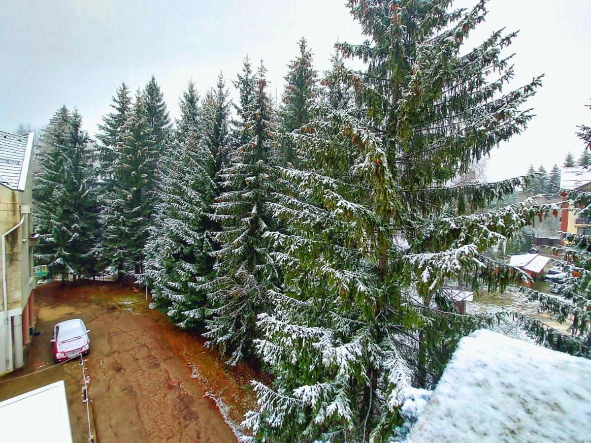 Vila Simonte Poiana Brasov Hotel Luaran gambar
