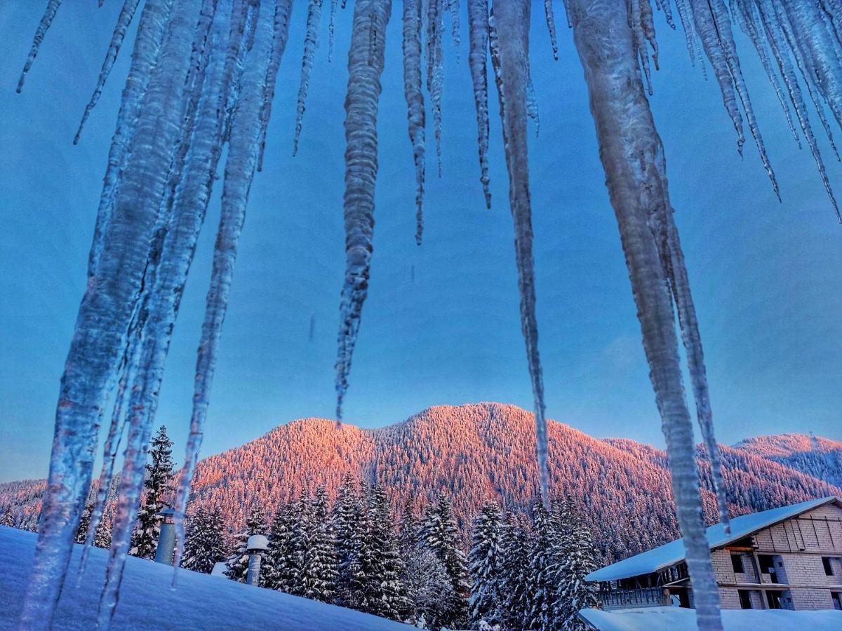 Vila Simonte Poiana Brasov Hotel Luaran gambar