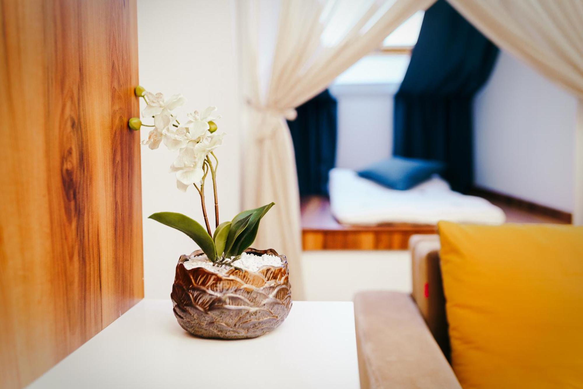 Vila Simonte Poiana Brasov Hotel Luaran gambar